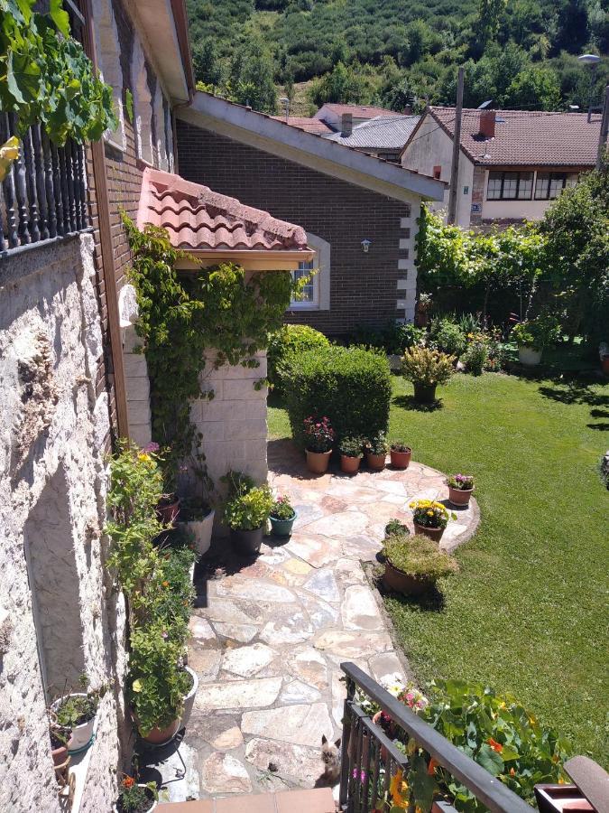 Casa Olga - Castilla Y León Casa de hóspedes Cofinal